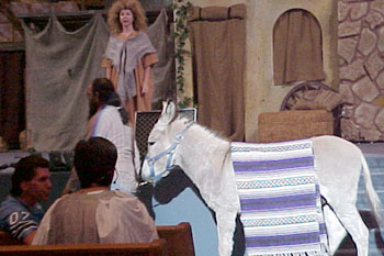  actress dress in peasant clothing in front of building structures and white spotlight on a donkey with purple striped blank over its back Gabriel's Christmas Story, Calvary Orlando, Winter Park, Florida, USA