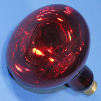 R40 250w 130v Heat Red E26 Lamp