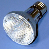 Par30 50w 120v Long FL40 E26 Lamp