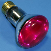 R20 50w 130v Pink Medscr Lamp