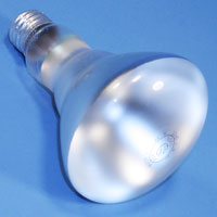 20332 R30 65w 120v Spot E26 Lamp