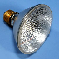 14779 Par30 75w 120v Flood E26 Lamp