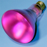 R30 65w/75w 130v Pink Medscr Lamp