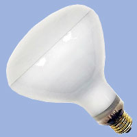 30281 R40 EAL 500w 120v E26 Lamp