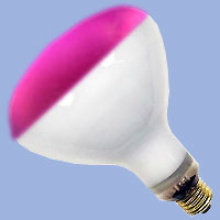 46876 R40 120w 120v Flood Pink E26 Lamp