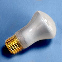 14821 R16 40w 120v Flood E26 Lamp