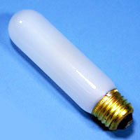 T10 60w 120v Frost E26 Lamp