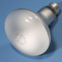 15160 BR30 65w 120v Flood E26 Lamp