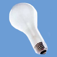 1000263 EBV 500w 120v E26 Lamp