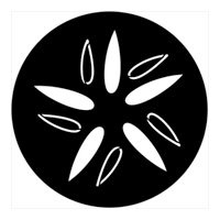 ROSCO:250-74061 -- 74061 Organic 11 Steel Metal Gobo, Size: Specify