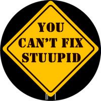 ROSCO:260-83100 -- 83100 You Can'T Fix Stupid 2 Color  Glass Gobo, Size: Specify